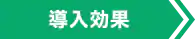 導入効果